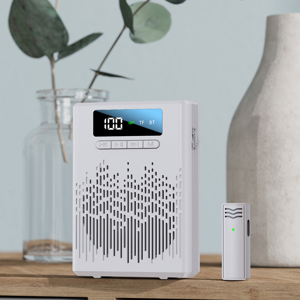 Altoparlante Bluetooth portatile
