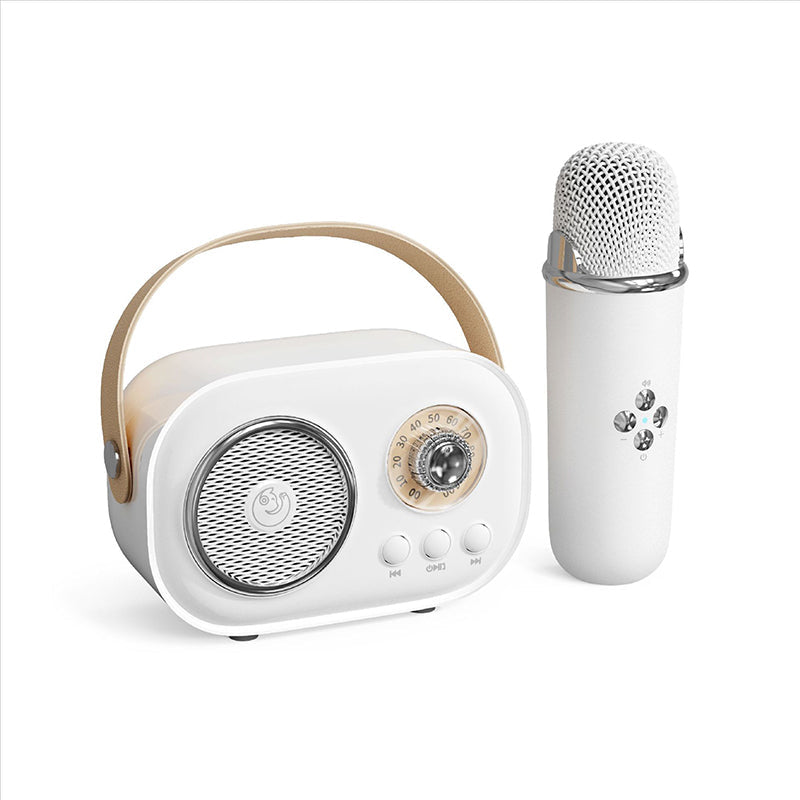 Cassa Bluetooth portatile con microfono wireless