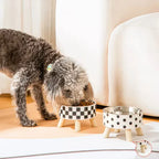 Ciotola rialzata di lusso per cani e gatti