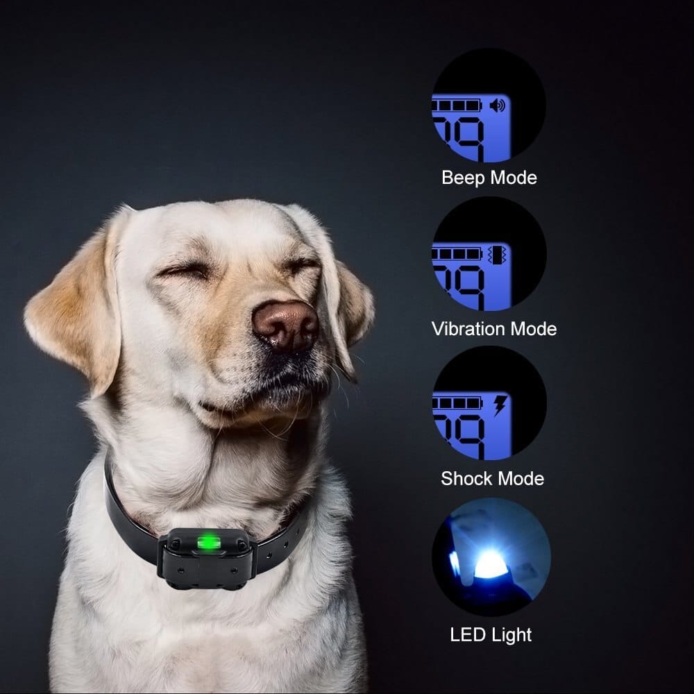 Collare da addestramento elettrico per cani con portata di 800 m