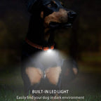 Collare da addestramento elettrico per cani con portata di 800 m