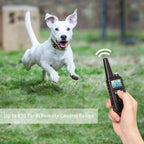 Collare da addestramento elettrico per cani con portata di 800 m