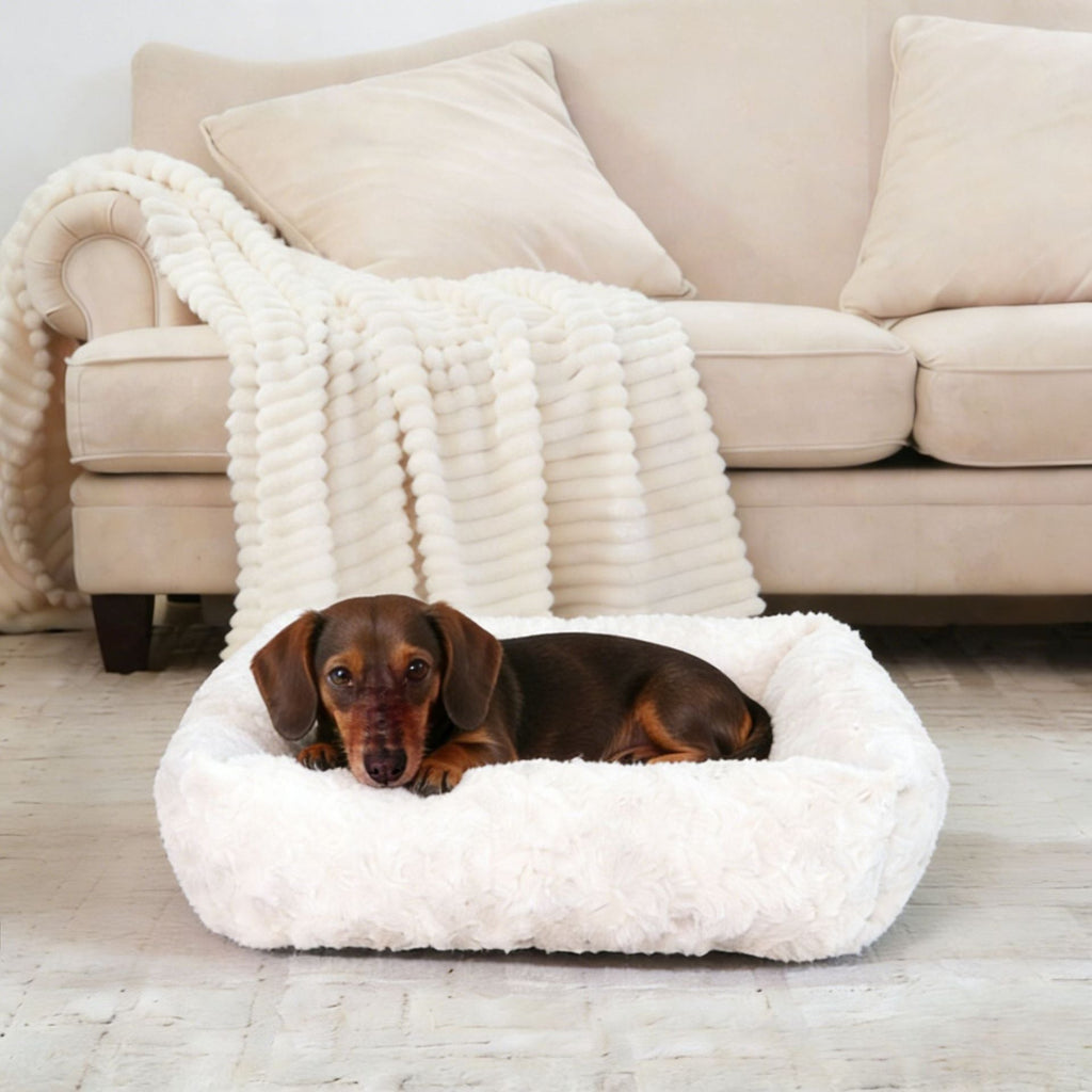 Cuccia imbottita ortopedica per cani