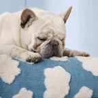 Cuccia impermeabile AquaRest per cani – comfort indoor e outdoor
