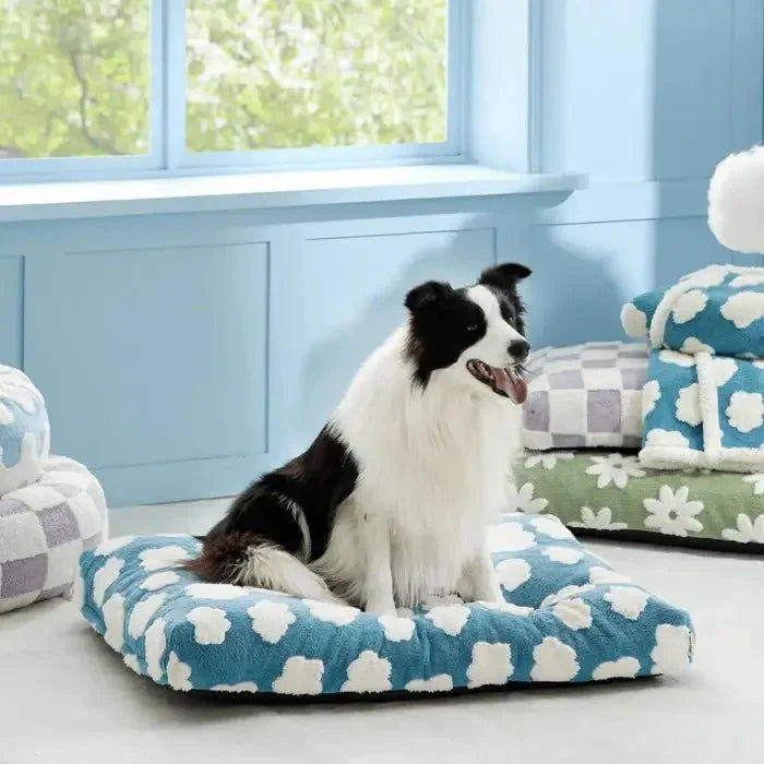 Cuccia impermeabile AquaRest per cani – comfort indoor e outdoor
