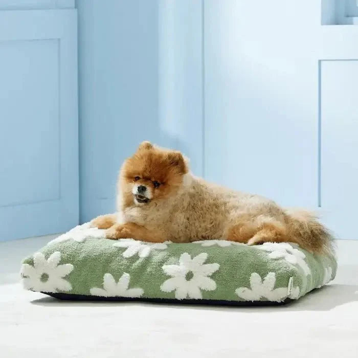 Cuccia impermeabile AquaRest per cani – comfort indoor e outdoor