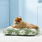 Cuccia impermeabile AquaRest per cani – comfort indoor e outdoor