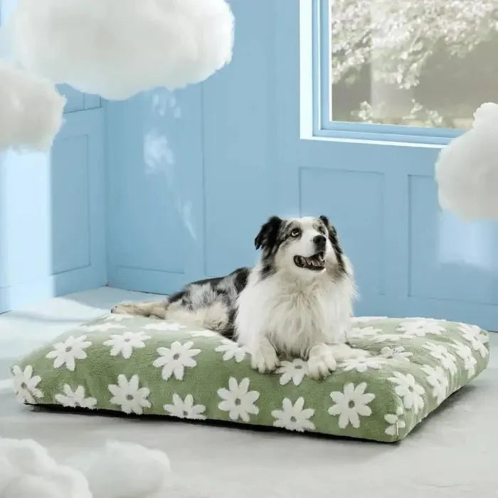 Cuccia impermeabile AquaRest per cani – comfort indoor e outdoor