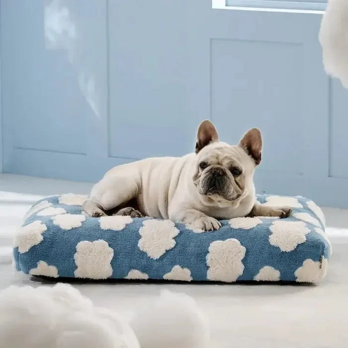 Cuccia impermeabile AquaRest per cani – comfort indoor e outdoor