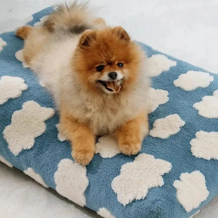 Cuccia impermeabile AquaRest per cani – comfort indoor e outdoor