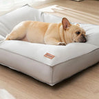 Cuccia impermeabile e confortevole per cani