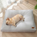 Cuccia impermeabile e confortevole per cani