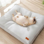 Cuccia impermeabile e confortevole per cani