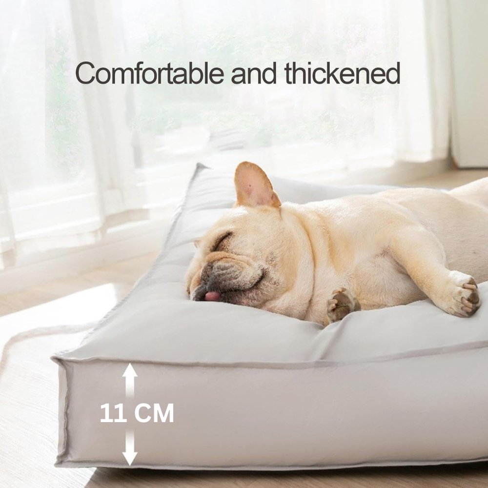 Cuccia impermeabile e confortevole per cani