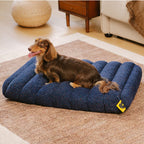 Cuccia morbida per cani CheesecakeComfort