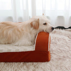 Cuccia ortopedica con bordi rialzati per cani