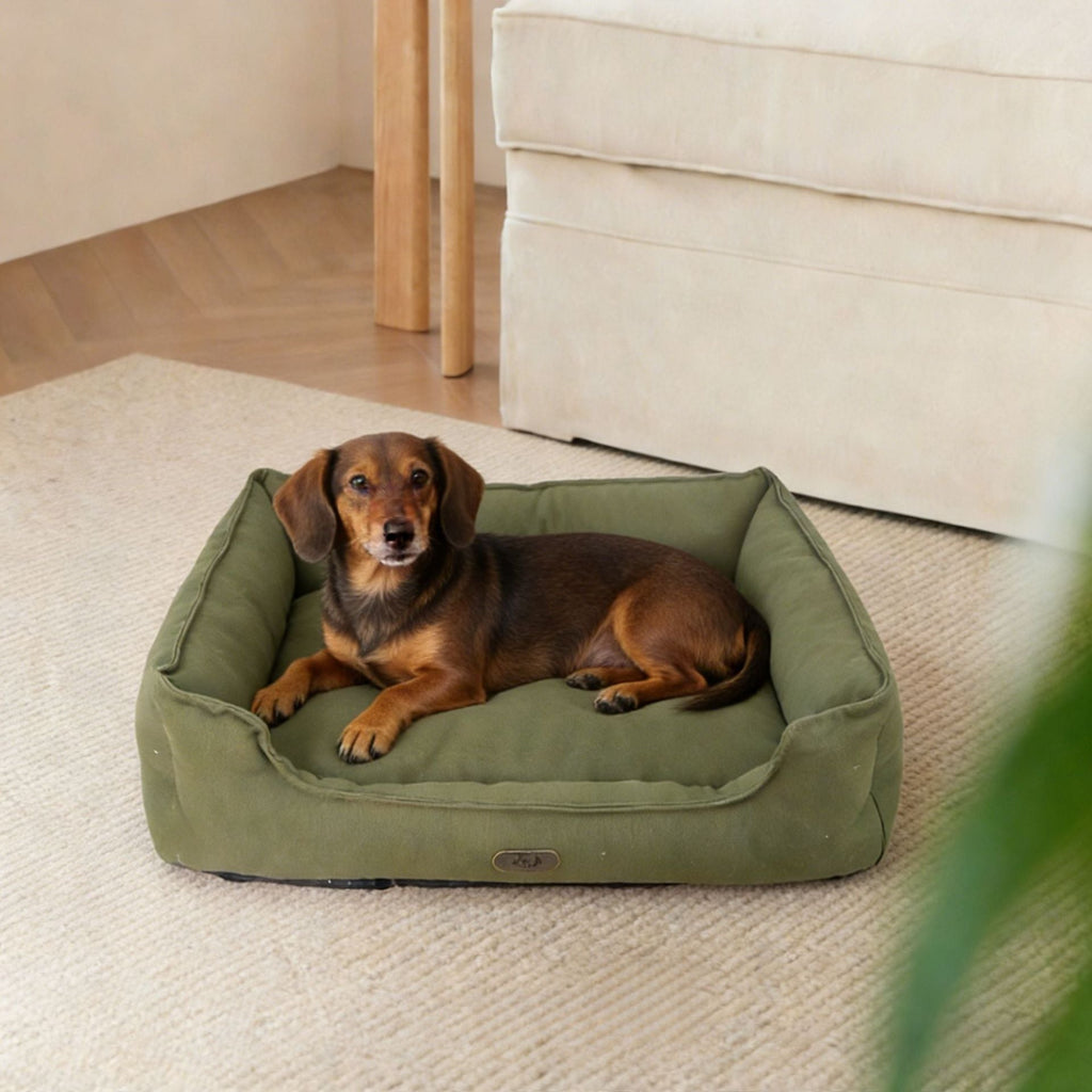 Cuccia ortopedica per cani con supporto ergonomico