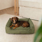 Cuccia ortopedica per cani con supporto ergonomico