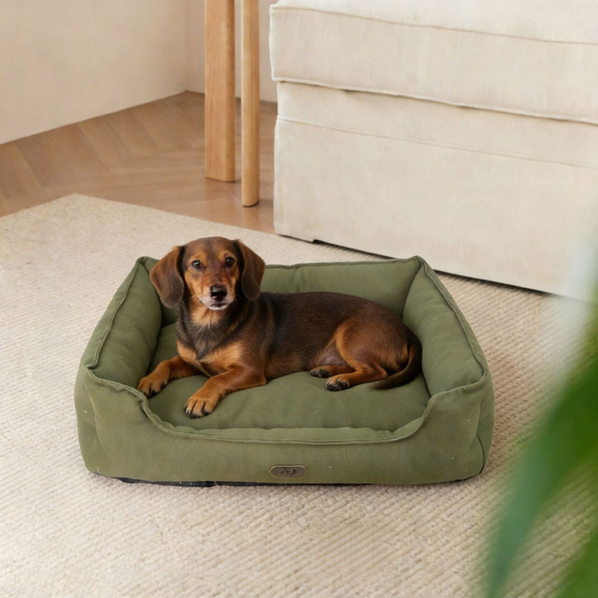 Cuccia ortopedica per cani con supporto ergonomico