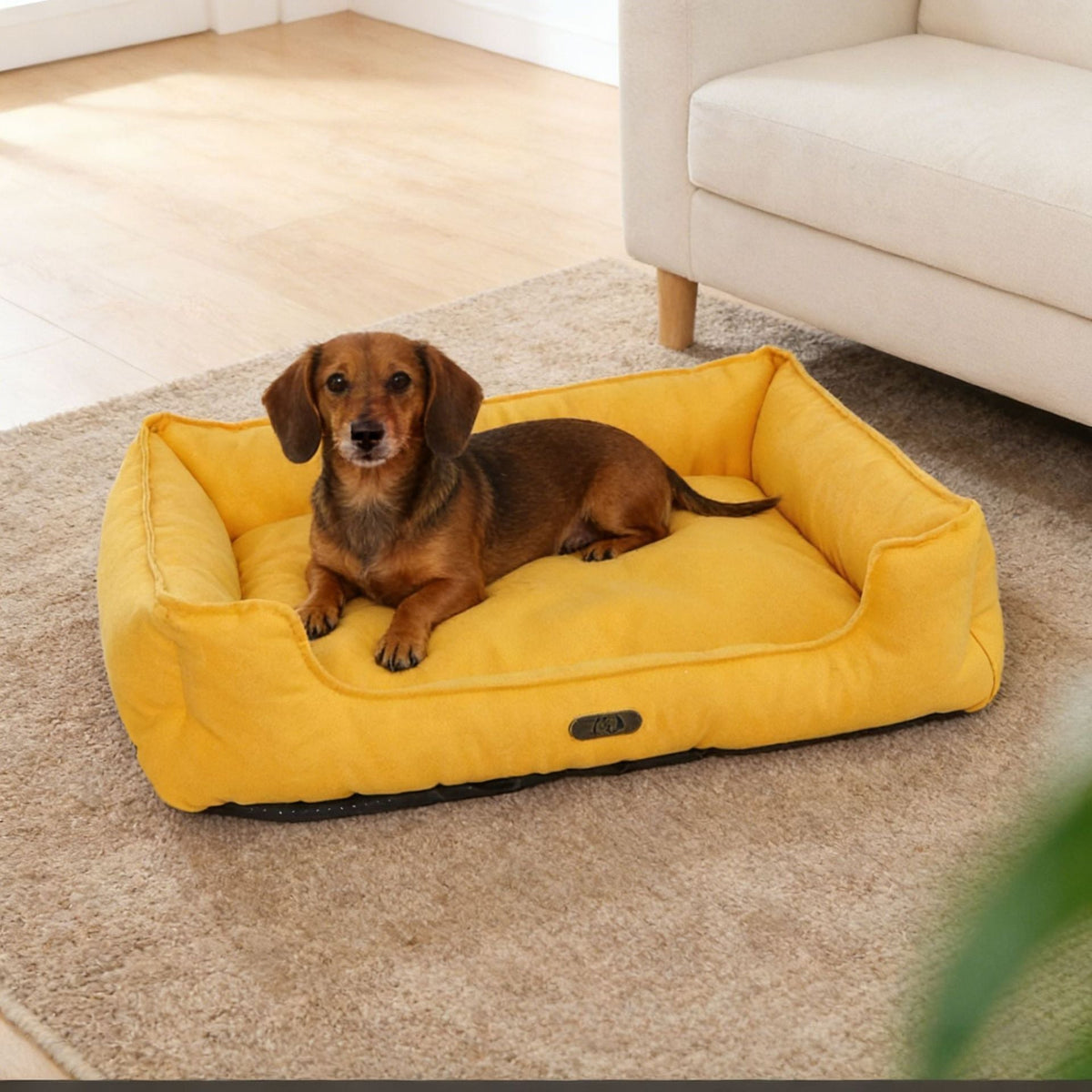 Cuccia ortopedica per cani con supporto ergonomico