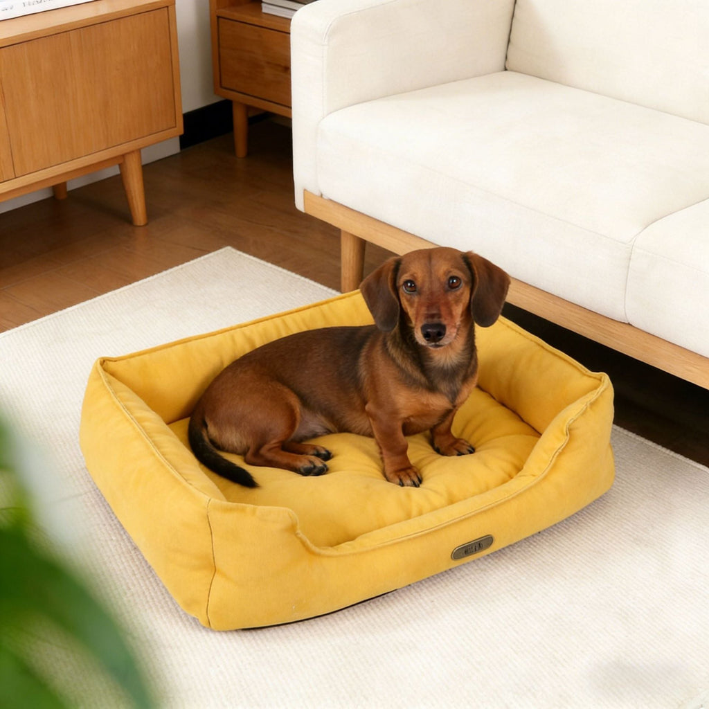 Cuccia ortopedica per cani con supporto ergonomico