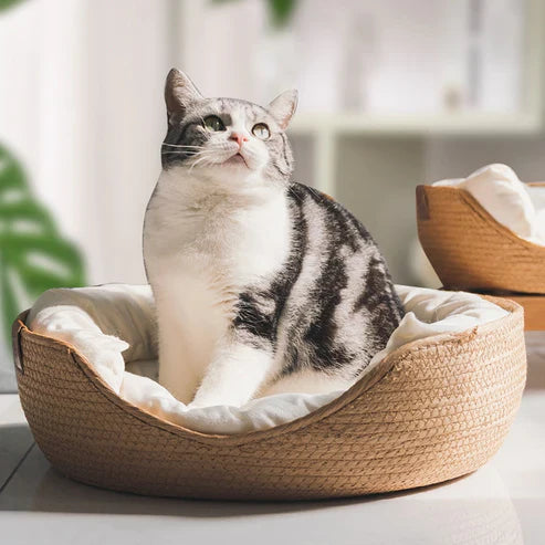 Cuccia per animali domestici in bambù intrecciato con bordi rialzati
