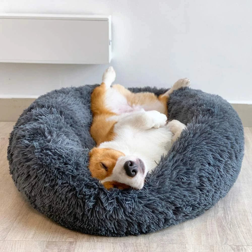 Cuccia premium per cani