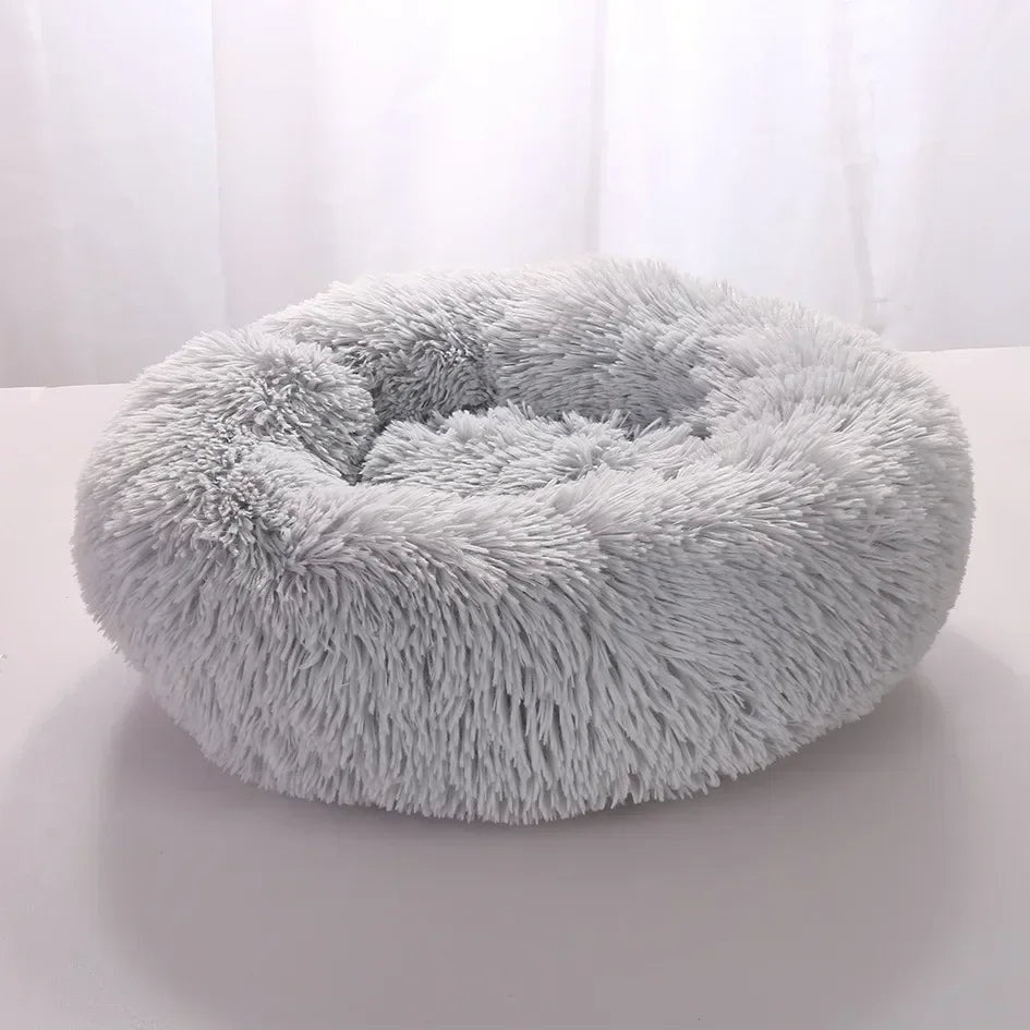 Cuccia premium per cani