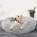 Cuccia premium per cani