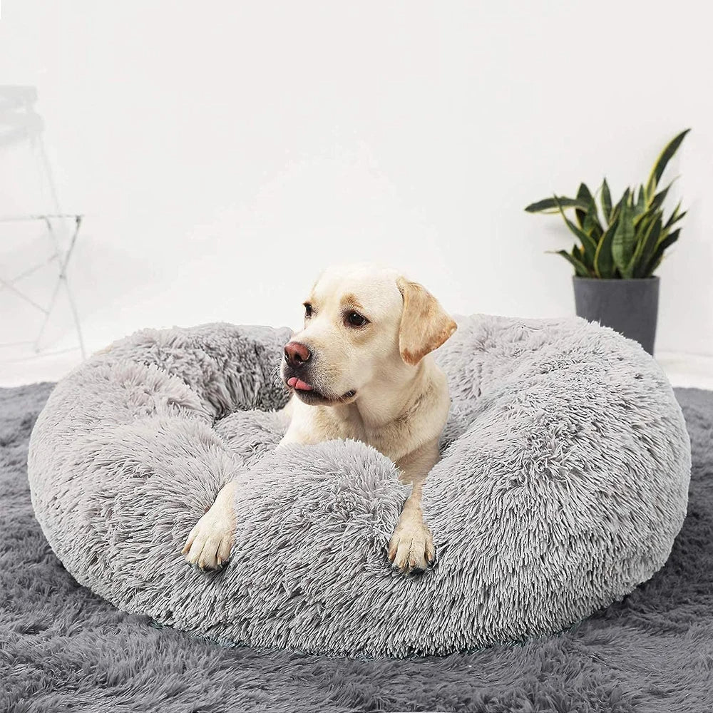 Cuccia premium per cani