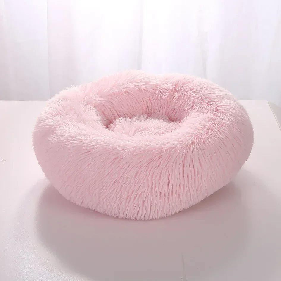 Cuccia premium per cani