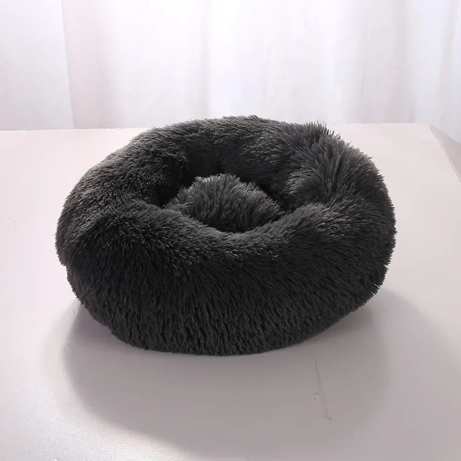Cuccia premium per cani