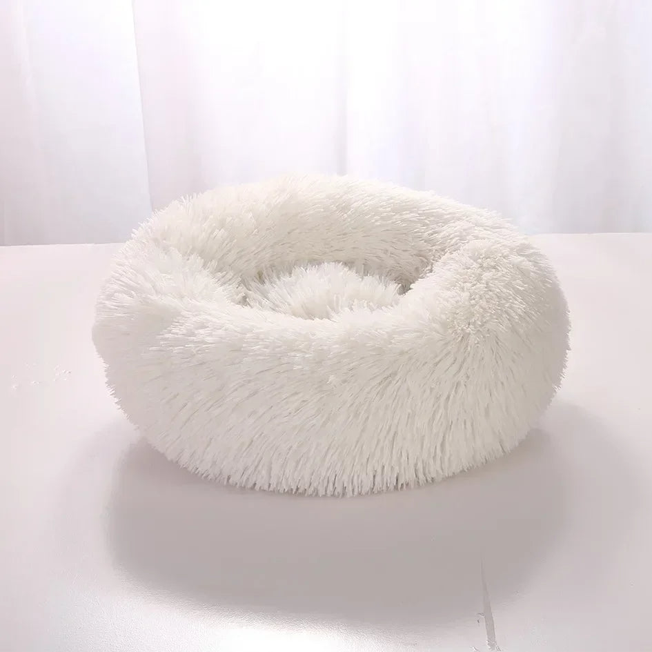 Cuccia premium per cani