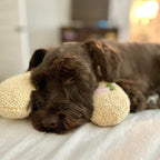Cuscino morbido per cani CalmNest