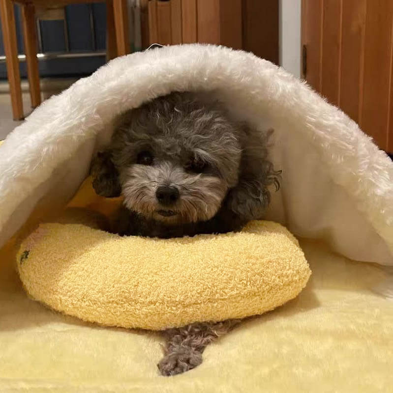 Cuscino morbido per cani CalmNest