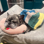 Cuscino morbido per cani CalmNest