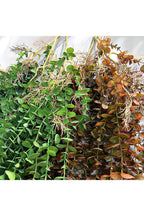 Decorazione natalizia luminosa 104 cm