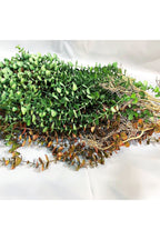 Decorazione natalizia luminosa 104 cm