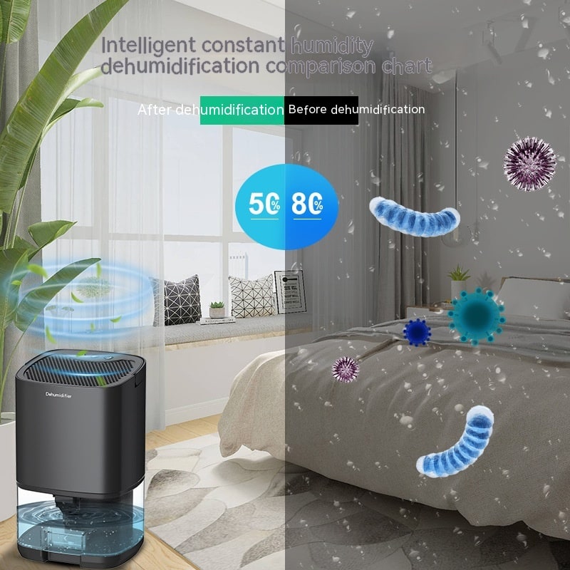 Deumidificatore portatile per cantina e camera da letto con tubo di scarico e indicatore LED