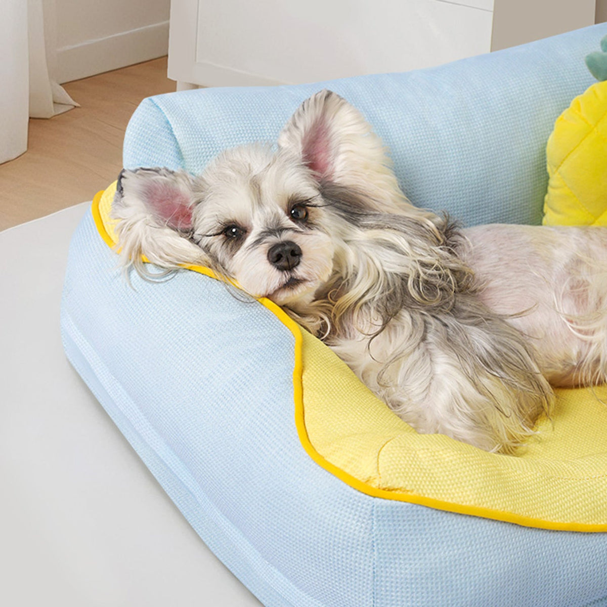 Divano imbottito per cani con bordi rialzati