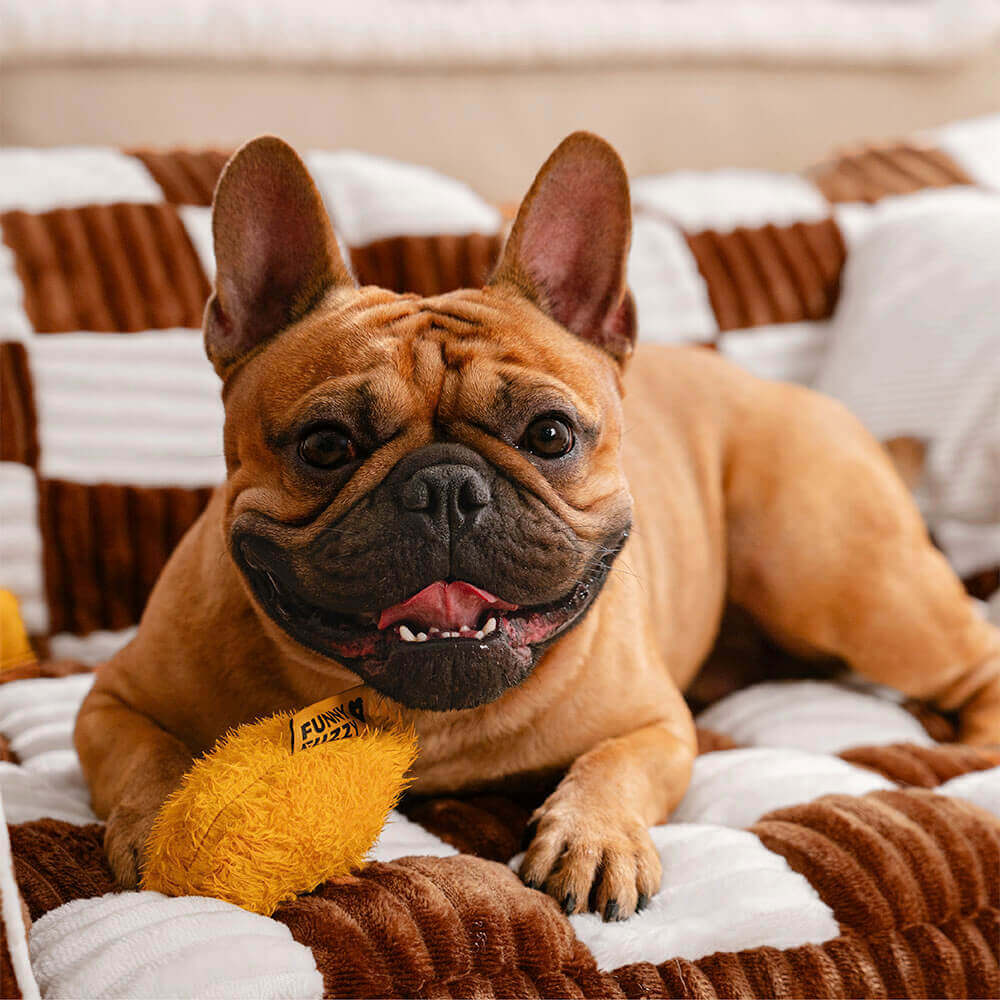 Divano ortopedico per cani King's Chillout