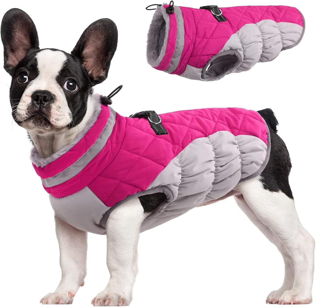 Giacca imbracatura invernale SafeWalk – Cappottino impermeabile per cani con riflettenti e fodera in pile