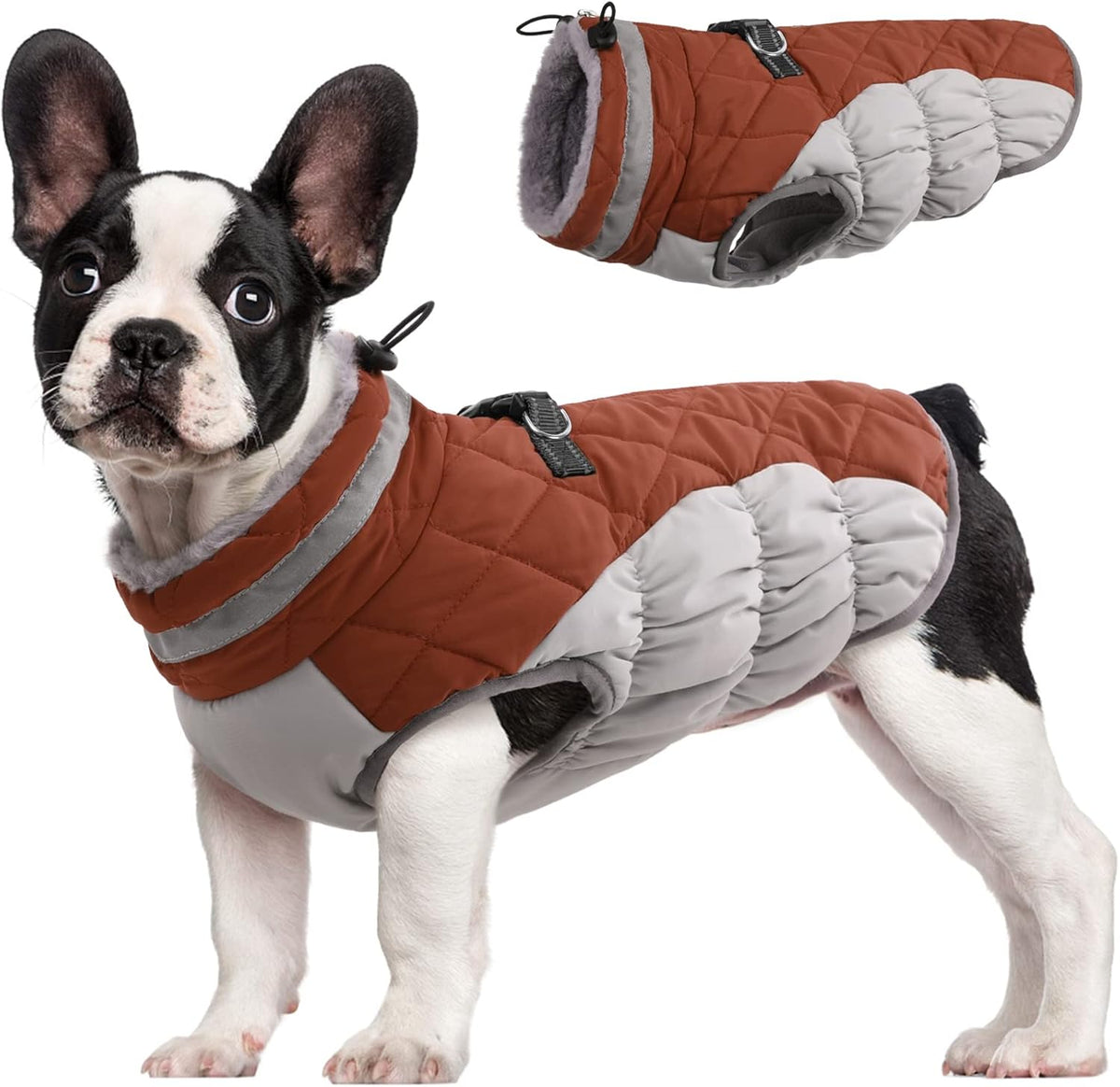 Giacca imbracatura invernale SafeWalk – Cappottino impermeabile per cani con riflettenti e fodera in pile