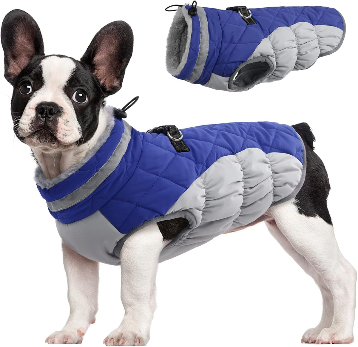Giacca imbracatura invernale SafeWalk – Cappottino impermeabile per cani con riflettenti e fodera in pile