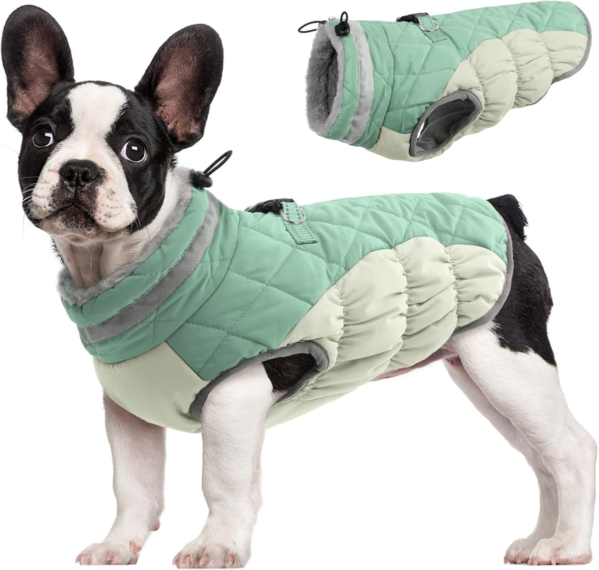 Giacca imbracatura invernale SafeWalk – Cappottino impermeabile per cani con riflettenti e fodera in pile