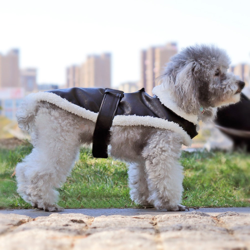 Giacca in similpelle per cani e gatti