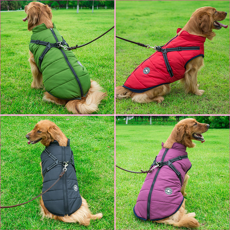 Giacca per cani | Antivento e idrorepellente | Pettorina integrata