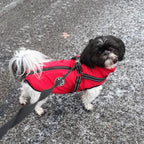 Giacca per cani | Antivento e idrorepellente | Pettorina integrata