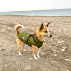 Giacca per cani | Antivento e idrorepellente | Pettorina integrata