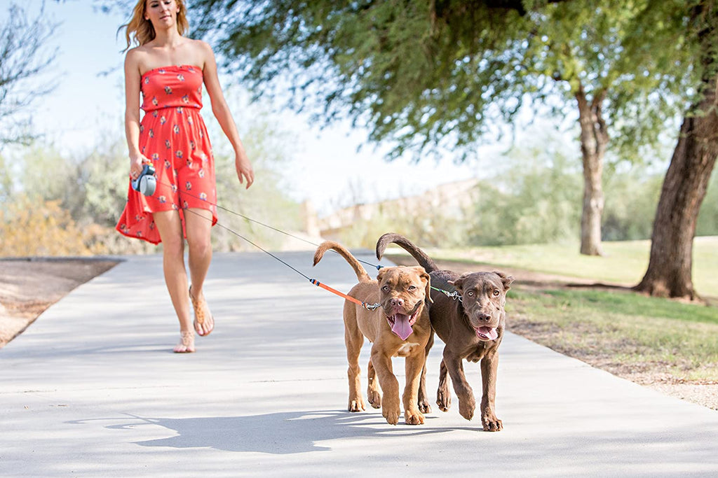 Guinzaglio doppio per cani con rotazione a 360°, anti-groviglio e riflettente